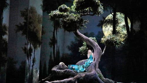 The Metropolitan Opera: Rusalka Bild 3