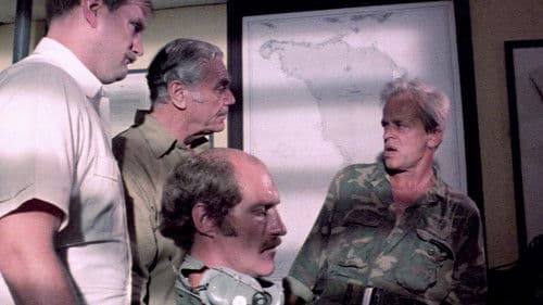 Geheimcode Wildgänse Bild 6