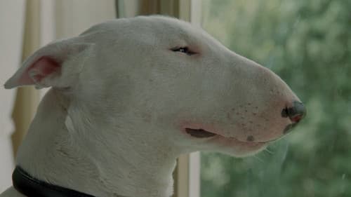 Bell mir das Lied vom Tod Bild 4