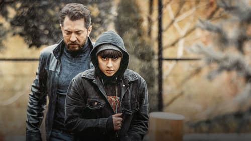 گربه سیاه Bild 1