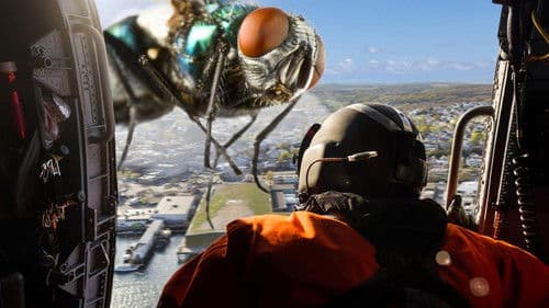 Auf die Größe kommt es an Bild 1