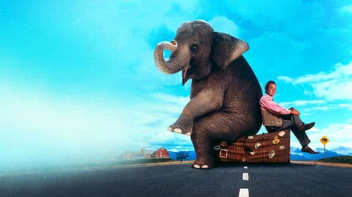 Die dicke Vera Bild 2