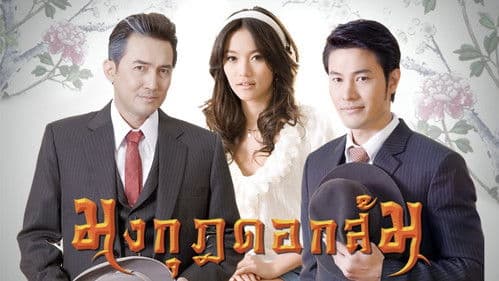 มงกุฎดอกส้ม Bild 2