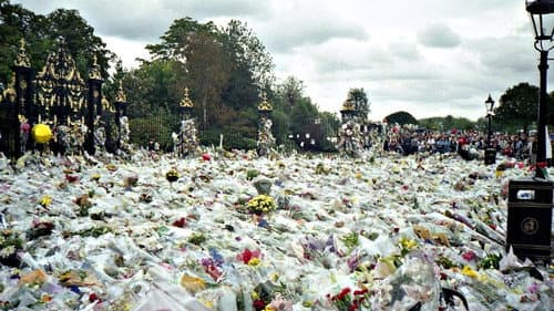 The Last Days of Princess Diana Bild 1