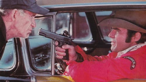 W.W. and the Dixie Dancekings Bild 1