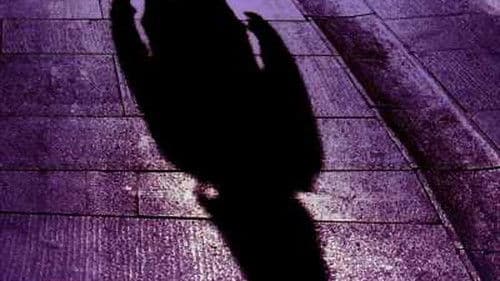 Stalked - Dunkle Begierde Bild 1