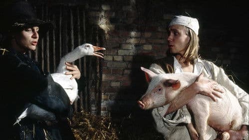 Hans im Glück Bild 3