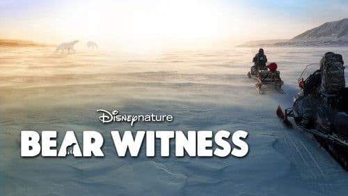 Den Eisbären so nah Bild 6