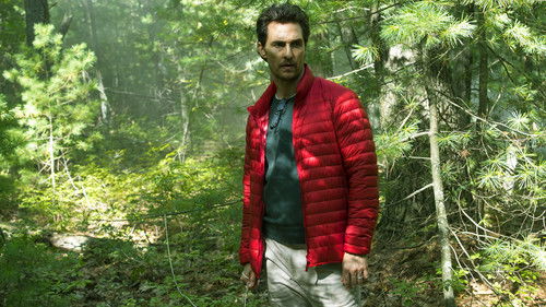 The Sea of Trees Bild 5