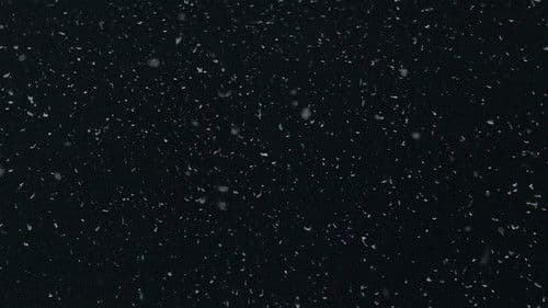 Liebe bis in den Tod Bild 1