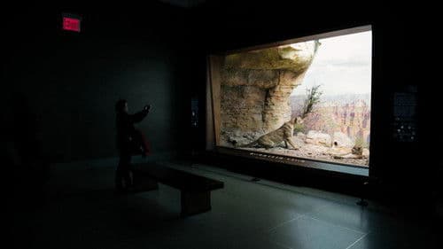 Curiosity and Control Bild 2