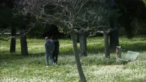 Lapin hyper lent Bild 2