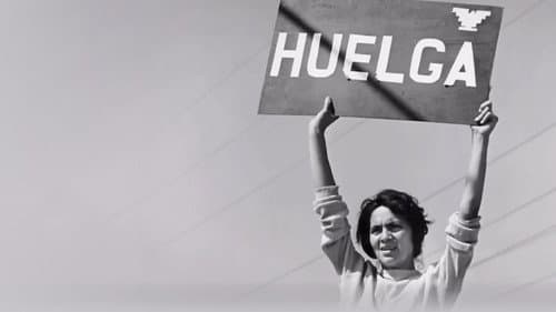 Latino Americans Bild 1