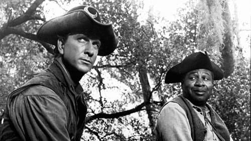 The Swamp Fox Bild 6