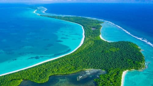 The Chagos Islands - Hope for Coral Reefs? Bild 1