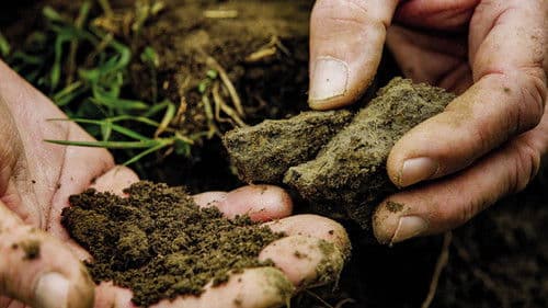 Unser Boden, unser Erbe Bild 4