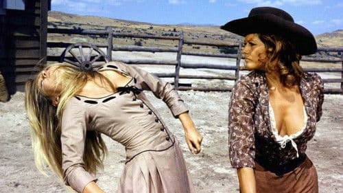 Petroleummiezen Bild 1