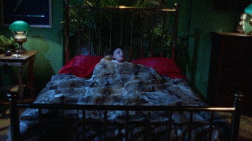 The Passions of Carol Bild 3