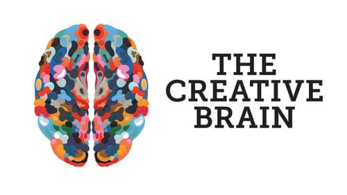 The Creative Brain Bild 3