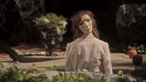 Haven's Point Bild 2