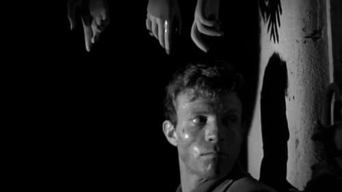 Der Tiger von New York Bild 1