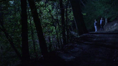 Below the Trees Bild 1