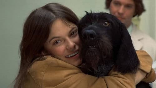 Begegnung am Vormittag Bild 4