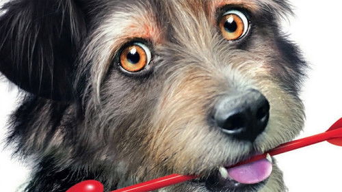 Amor auf vier Pfoten Bild 2