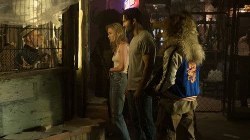 The Domestics Bild 5