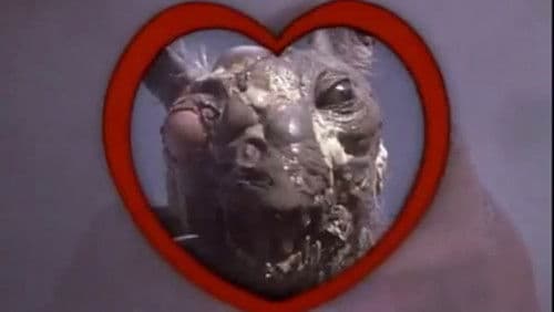 Wahnsinns-Trip - Class of Nuke 'Em High 2 Bild 5