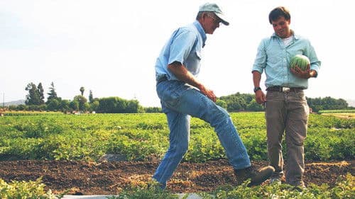 In Organic We Trust Bild 1