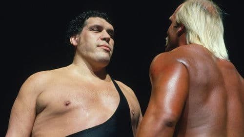 Andre the Giant Bild 3