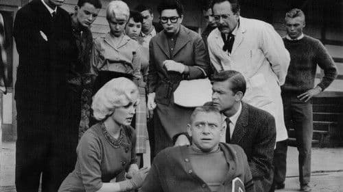 Sex Kittens Go to College Bild 3