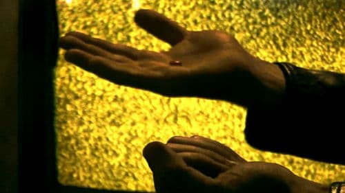 El mate amargo Bild 2