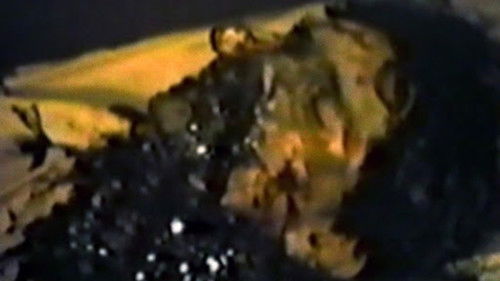 Within the Woods Bild 7