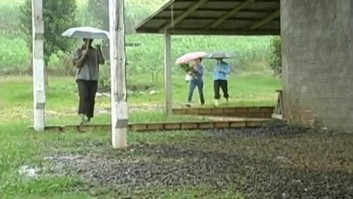 Do Canto ao Pio Bild 1