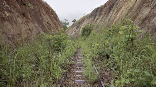 Congo-Océan, un chemin de fer et de sang Bild 1