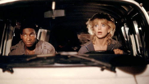 American Wildcats Bild 5