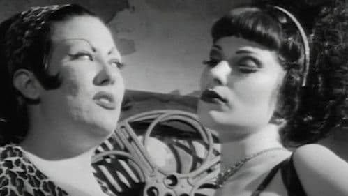 Superstarlet A.D. Bild 7