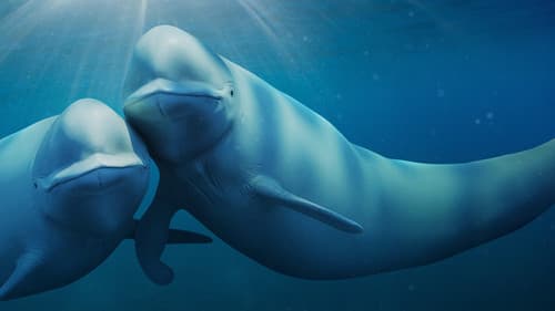 Unsere Ozeane Bild 4