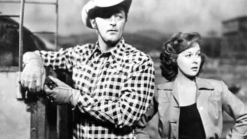 Arena der Cowboys Bild 7