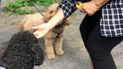 The Egos: Summer of Drake Bild 5