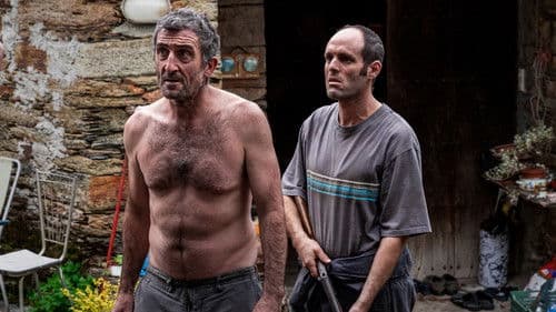 Wie wilde Tiere Bild 7