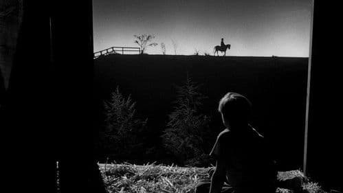 Die Nacht des Jägers Bild 2