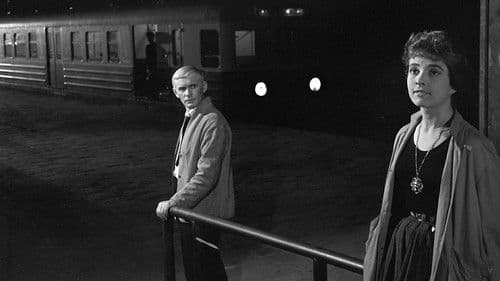 Die unschuldigen Zauberer Bild 7