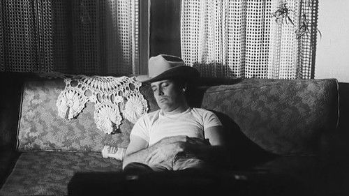 The Whole Shootin' Match Bild 4