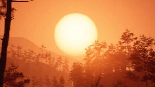 重复词条需要移除 Bild 3