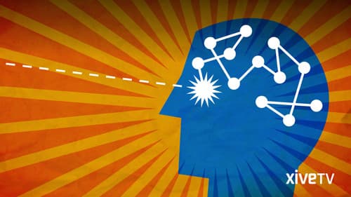 Automatic Brain Bild 1