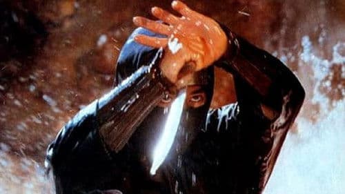 Ninja Kommando Bild 5