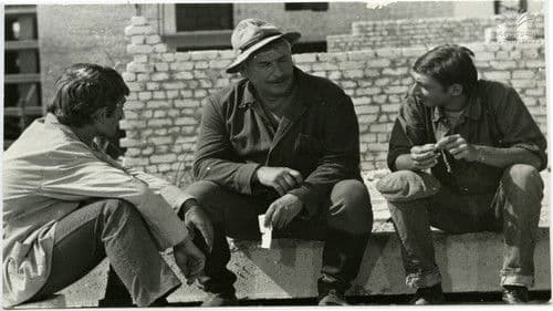 სინათლე ჩვენს ფანჯრებში Bild 1